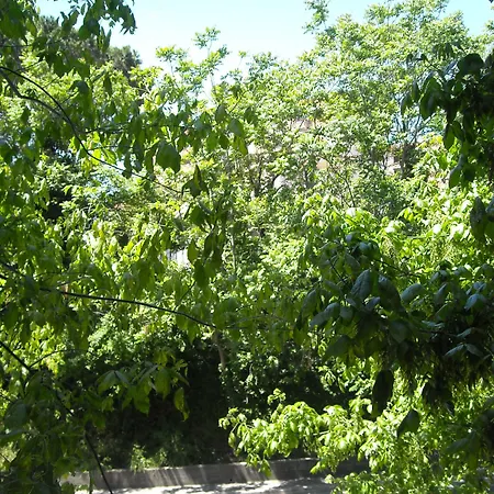 Il Granello Di Senape 4* Rome